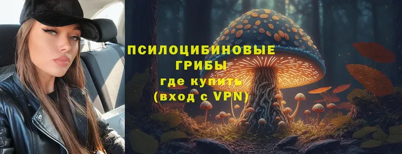 продажа наркотиков  Карачаевск  Галлюциногенные грибы мухоморы 